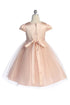 Big Girls Cap Sleeve Waistline Trim Satin Tulle Plus Size Dress 16.5-20.5